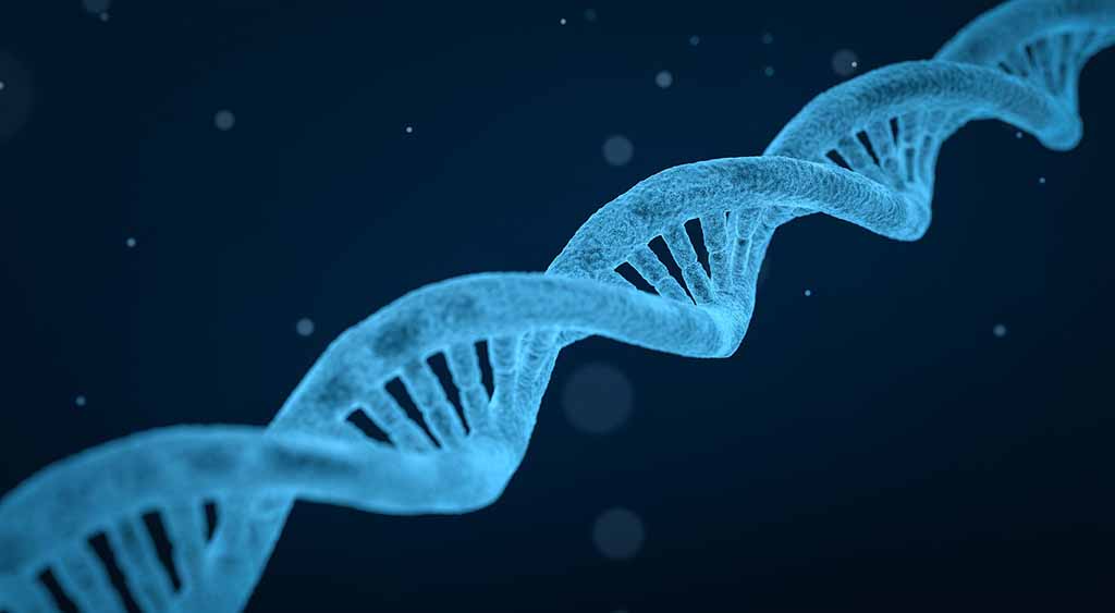 DNA4